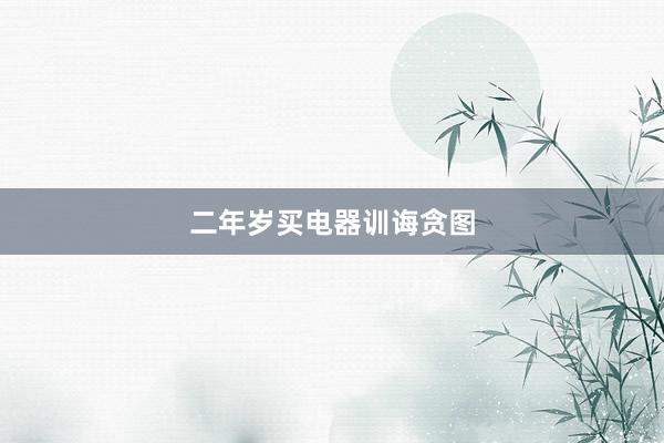 二年岁买电器训诲贪图